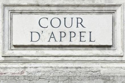 Le référé suspension devant la Cour d’Appel en matière de garde d’enfant